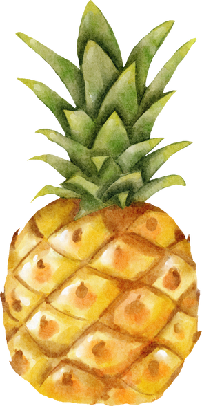 Pineapple Summer Watercolor Element